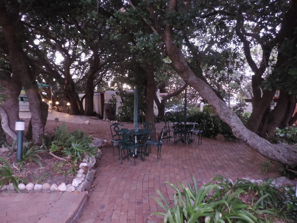 Milkwood Lodge Hermanus Exterior photo
