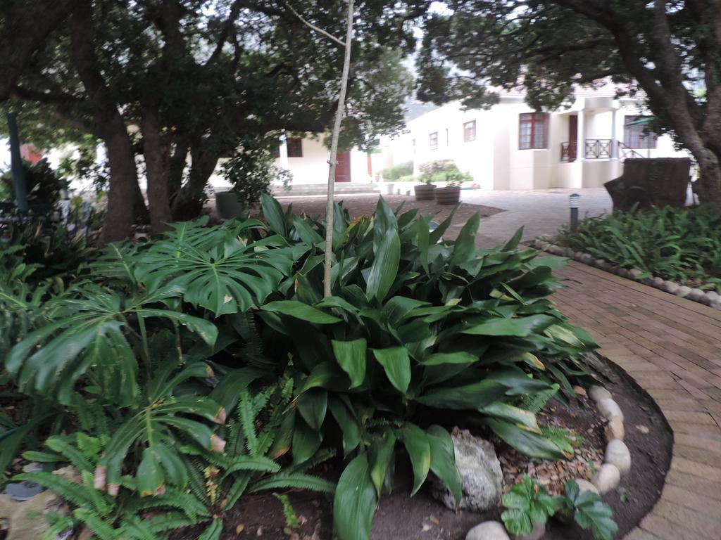 Milkwood Lodge Hermanus Exterior photo