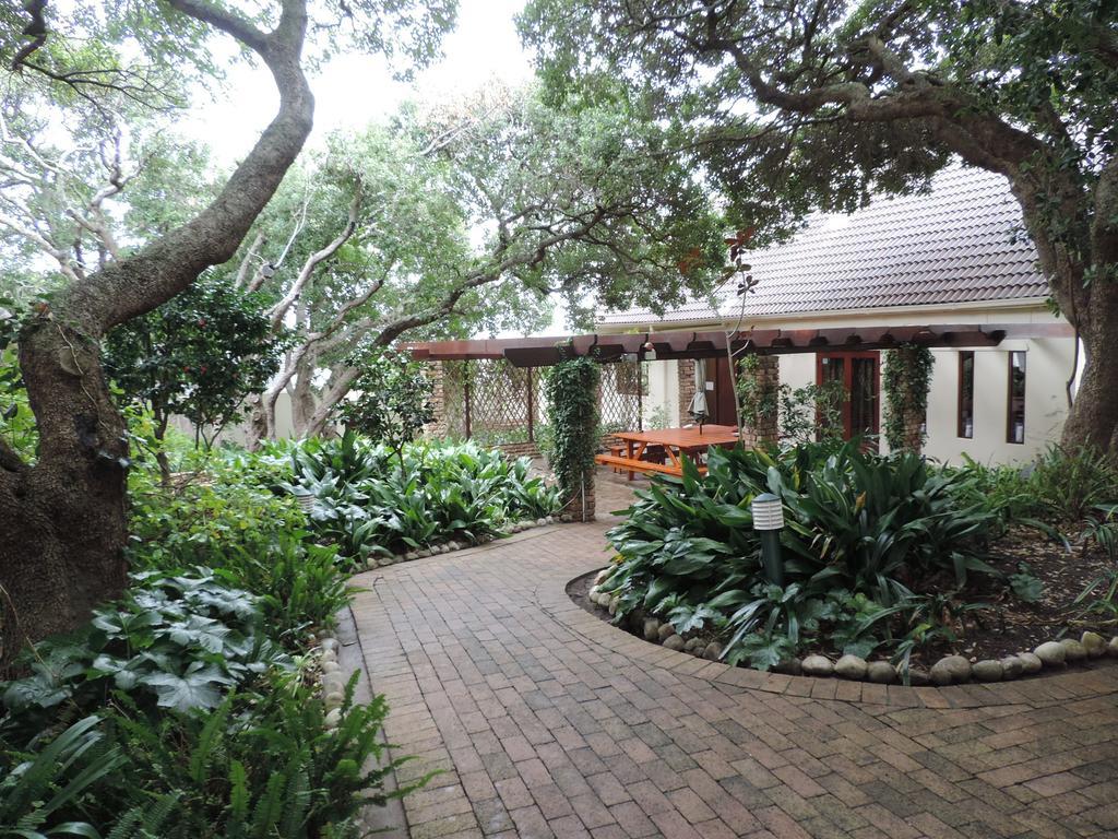 Milkwood Lodge Hermanus Exterior photo