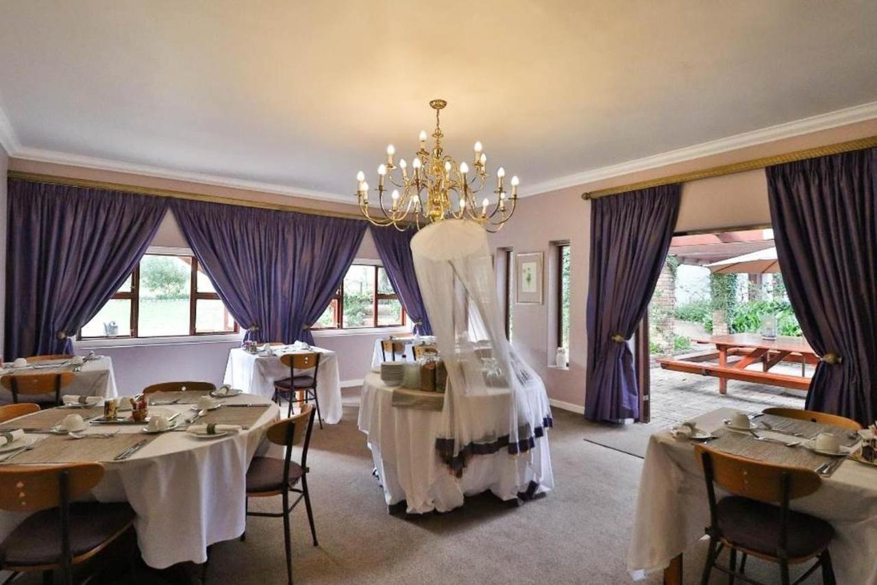 Milkwood Lodge Hermanus Exterior photo