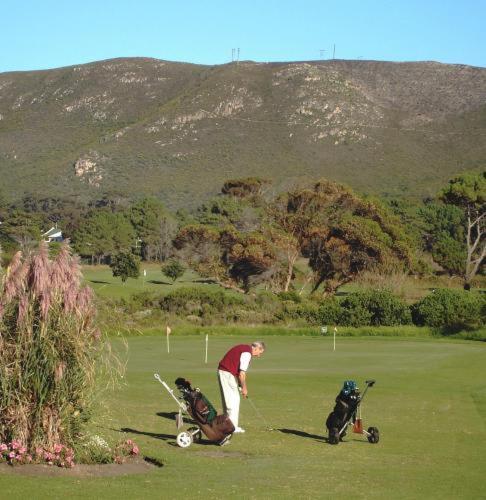 Milkwood Lodge Hermanus Exterior photo
